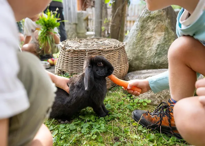 Feichtlhof Lejlighed *